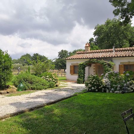 Villa Maremma Country Chic Le Ginestre Sovana Exterior foto