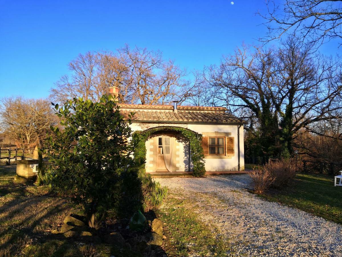 Villa Maremma Country Chic Le Ginestre Sovana Exterior foto