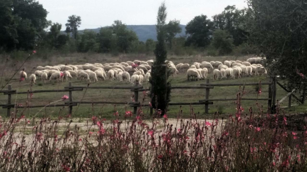 Villa Maremma Country Chic Le Ginestre Sovana Exterior foto