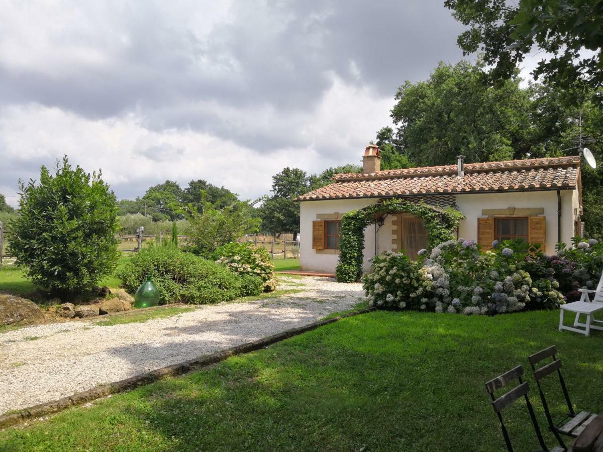 Villa Maremma Country Chic Le Ginestre Sovana Exterior foto